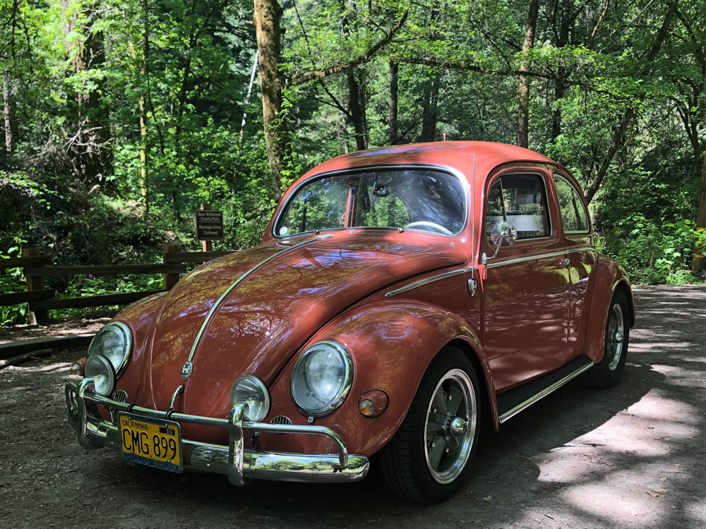 Richard's 1957 VW Bug
