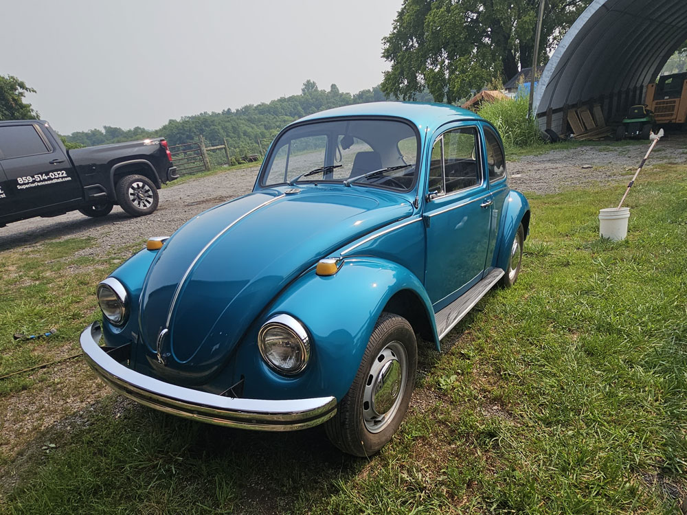David's 1970 VW Bug