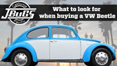 JBugs What To Look For When Buying A VW Beetle
