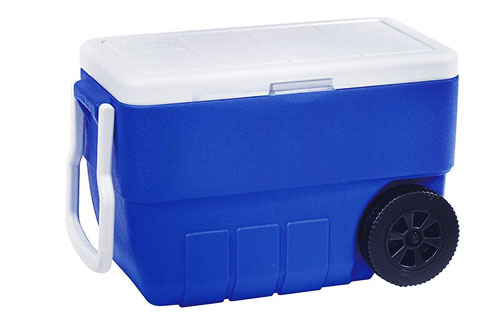 50 Quart Cooler