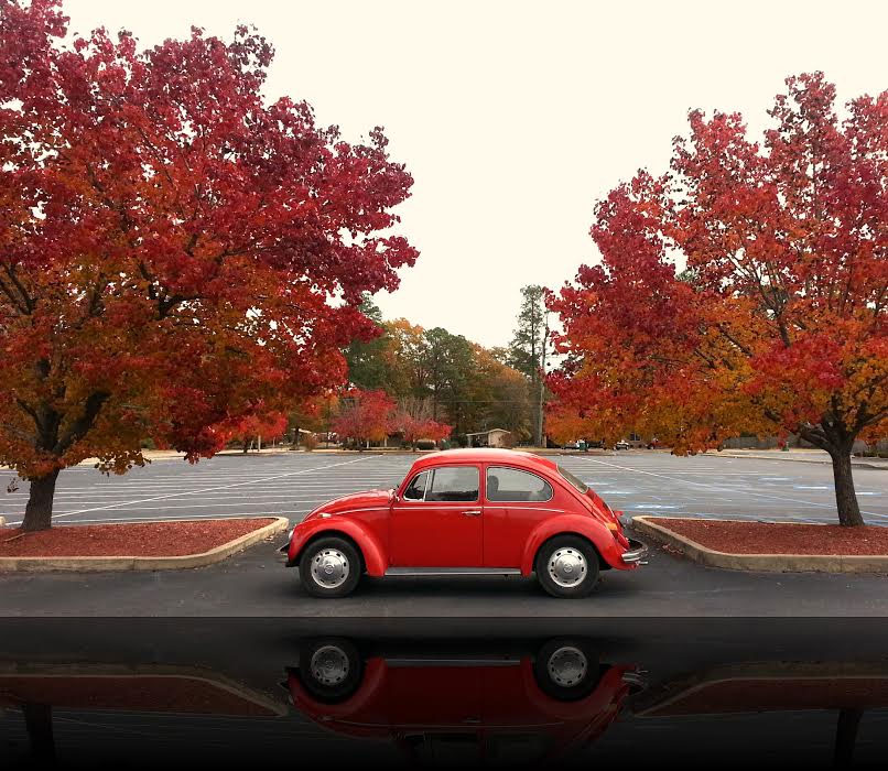 Allan McKinley's 1969 Bug