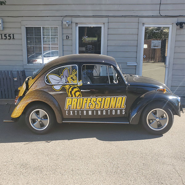 David Silva's 1970 Beetle