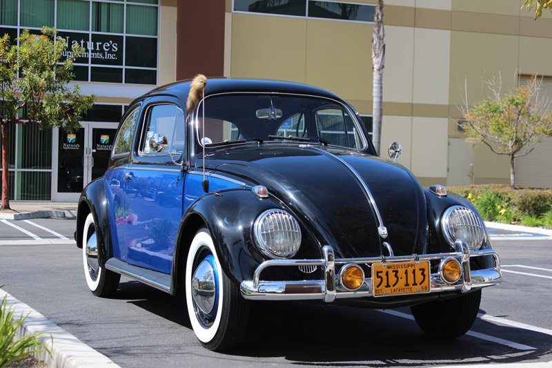 Jon Saewert's 1958 Beetle