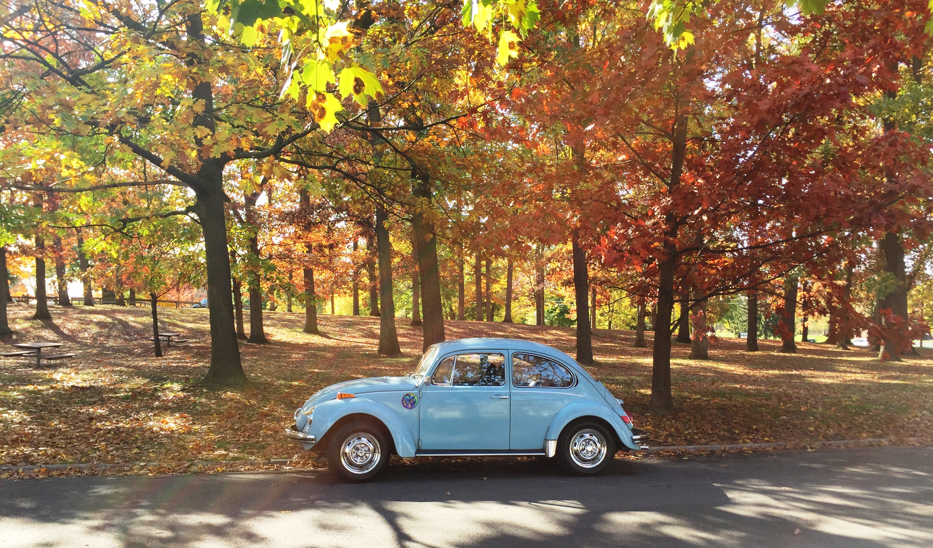 Joe Goss's 1971 Super Beetle