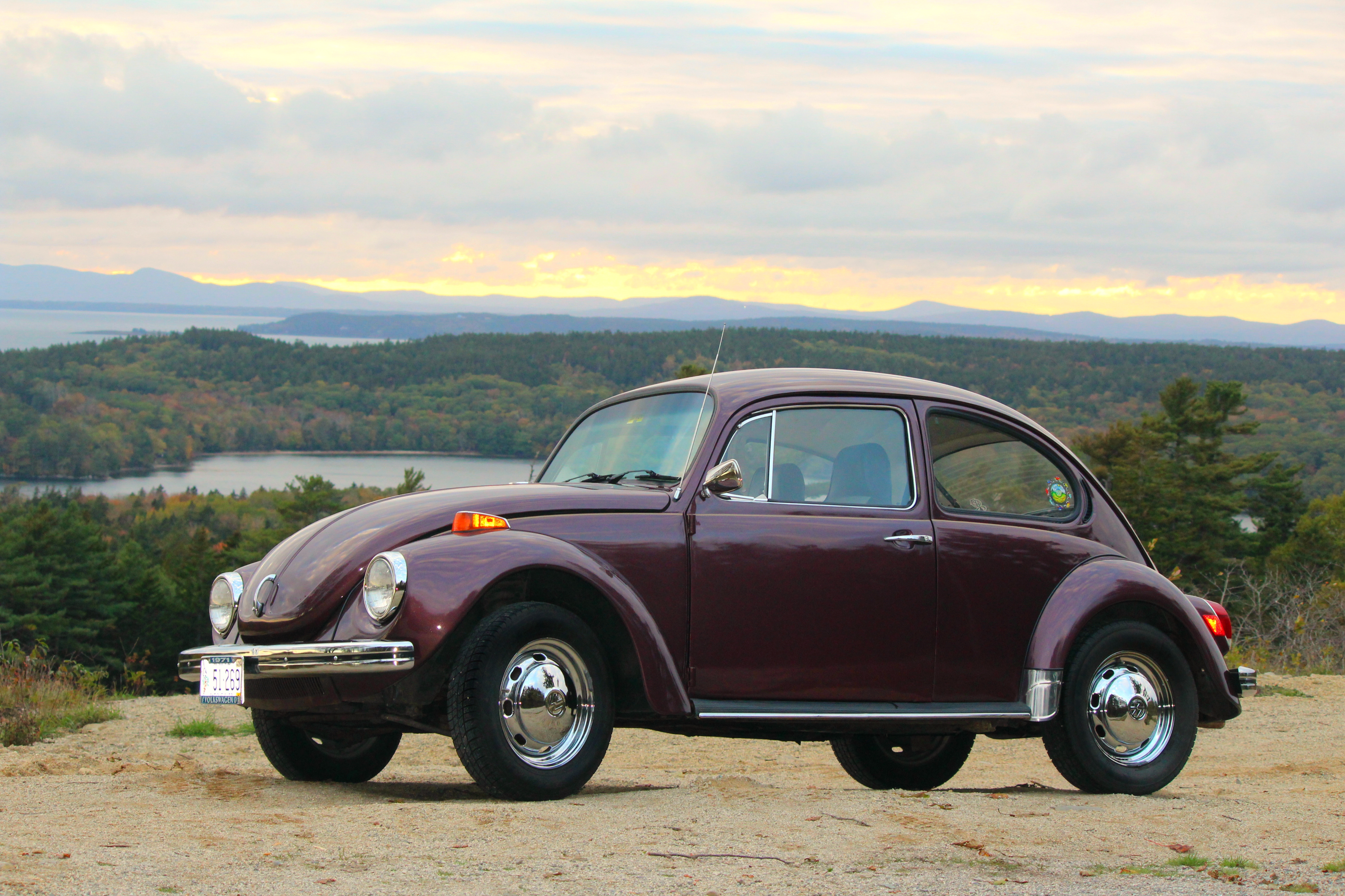 Leslie Cote-Hale's 1971 Super Beetle