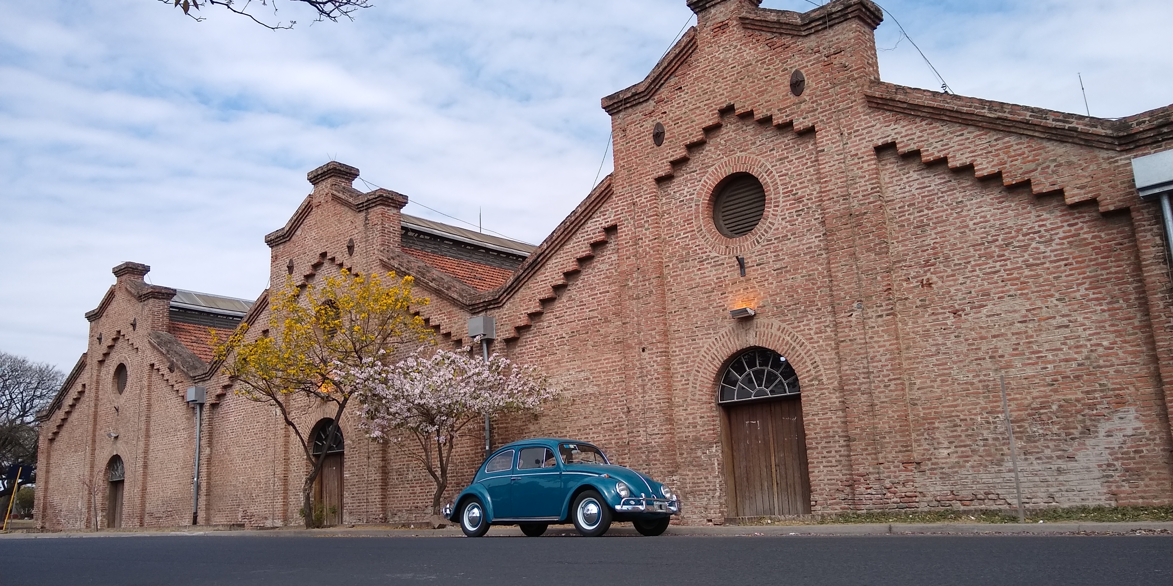German Lancioni's 1964 Beetle