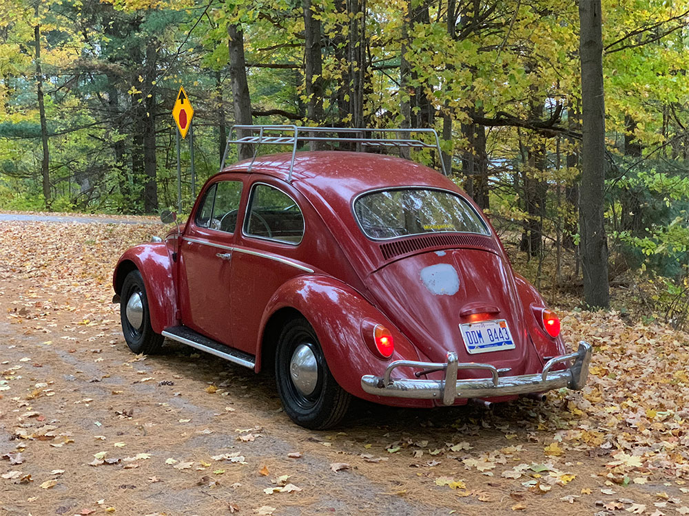 Michael Carey's 1964 Beetle