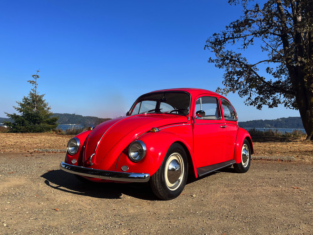 Ross Denny's 1967 Bug