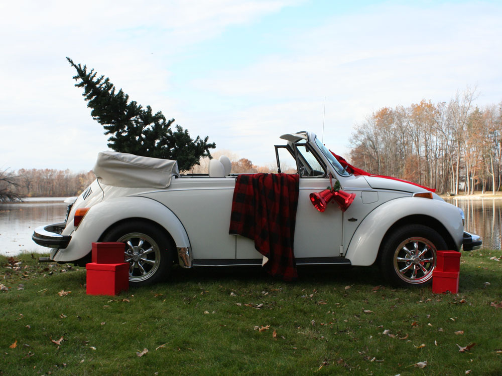 Karen Dron's 1979 Super Beetle