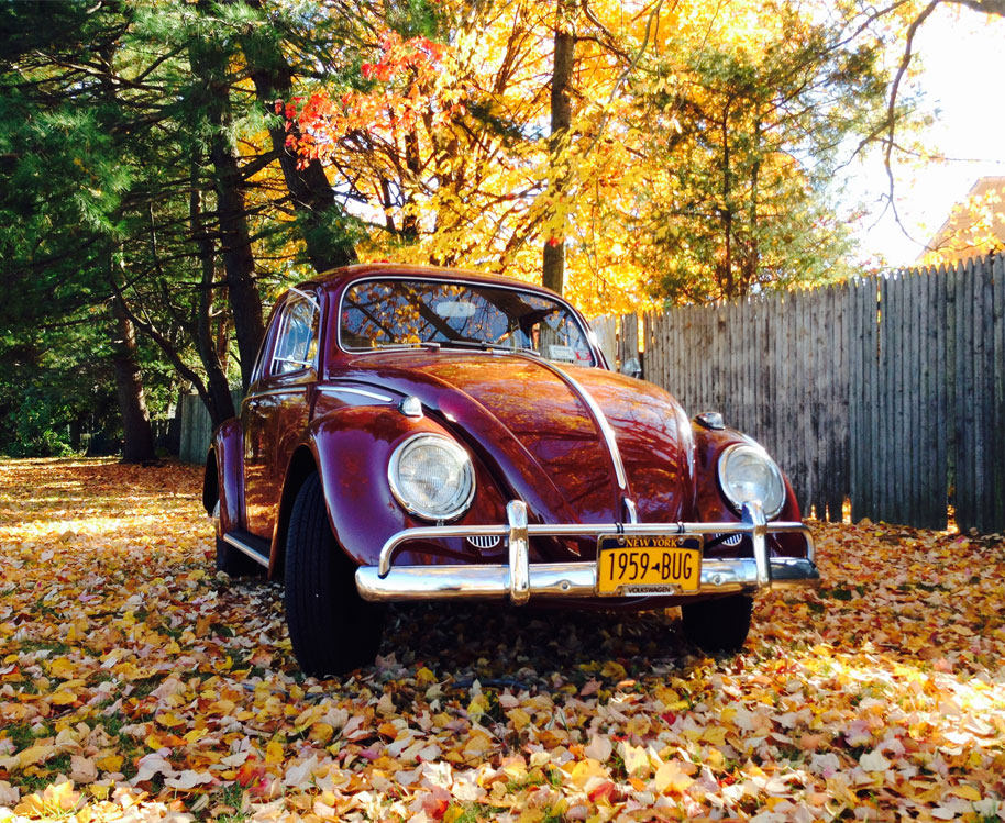 Richard Hallberg's 1959 Beetle