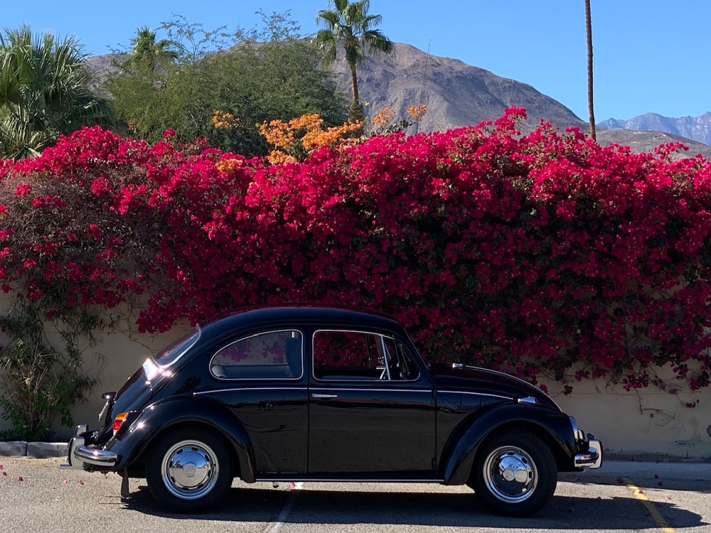 Tom Hipp's 1969 Beetle