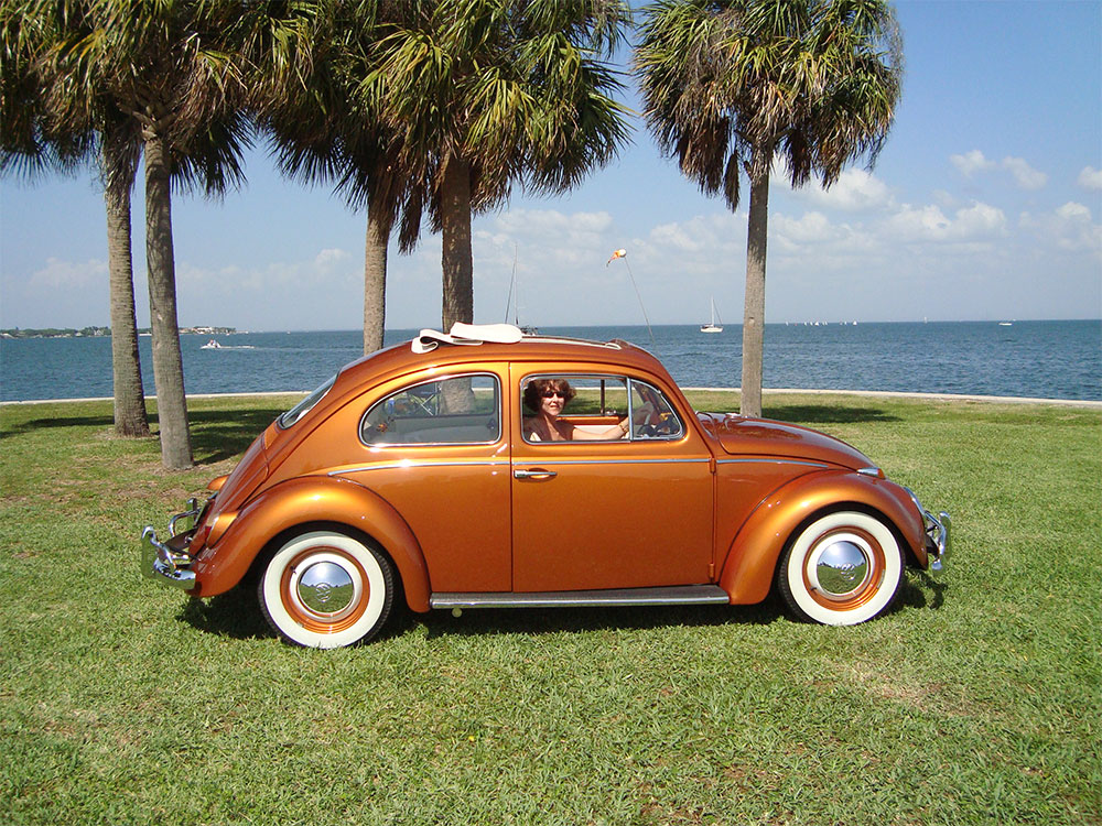 Wendy Houston's 1962 Bug