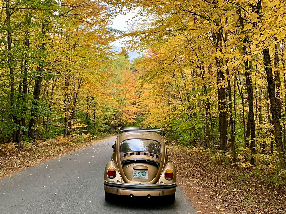 Sarah Kibbe's 1974 Beetle
