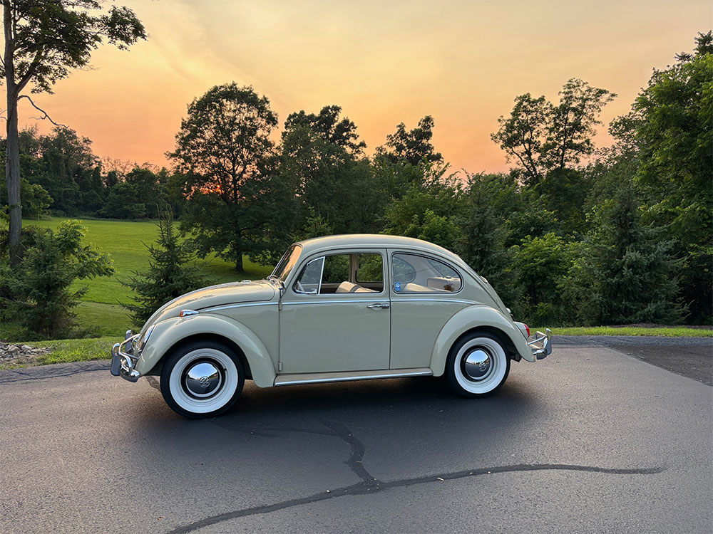 James Liguori's 1965 Beetle