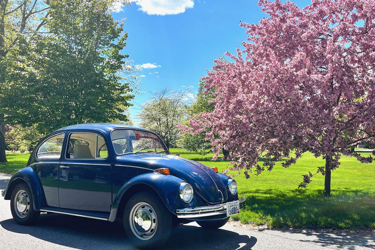 Don Lavallee's 1970 Beetle