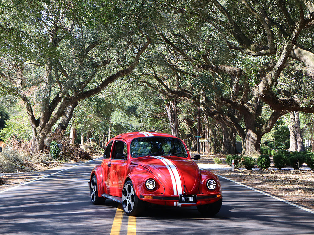 Enrique Mascorro's 1979 Beetle