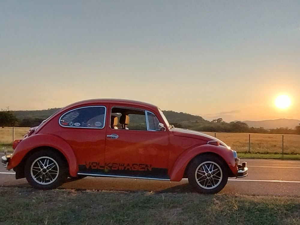 Camilo Pineda's 1966 Beetle