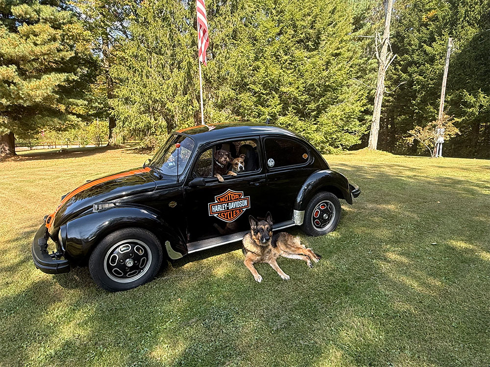 Steve Shingledecker's 1974 Super Beetle