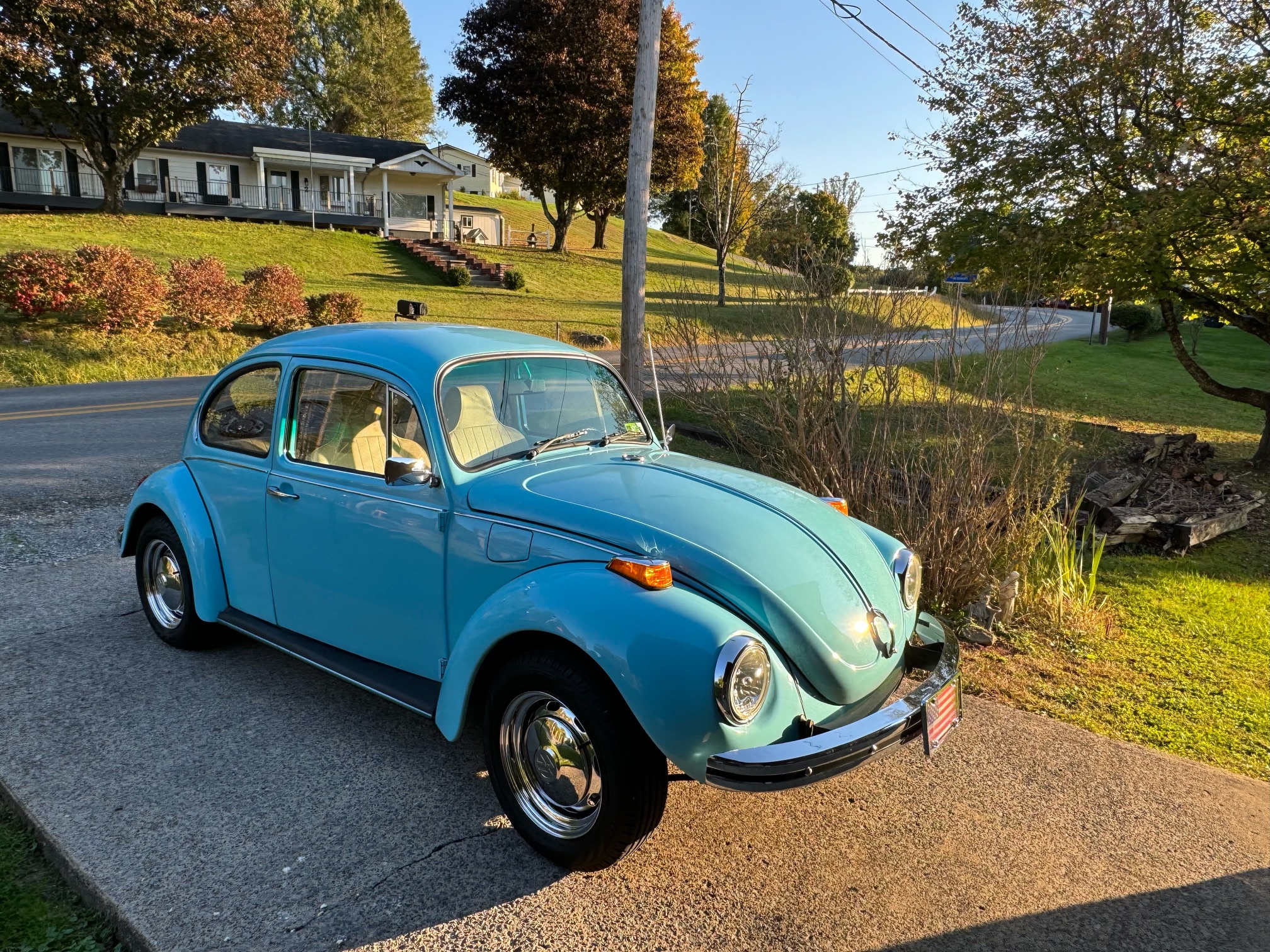 Loretta Watson's 1971 Super Beetle
