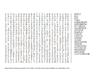 VW Kids- Wordsearch 1