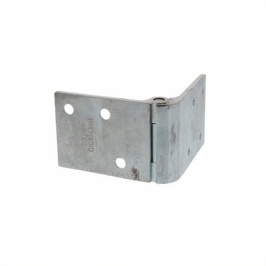 111831401G-BEETLE-UPPER-LEFT-