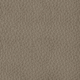 986 Camel Verona Vinyl
