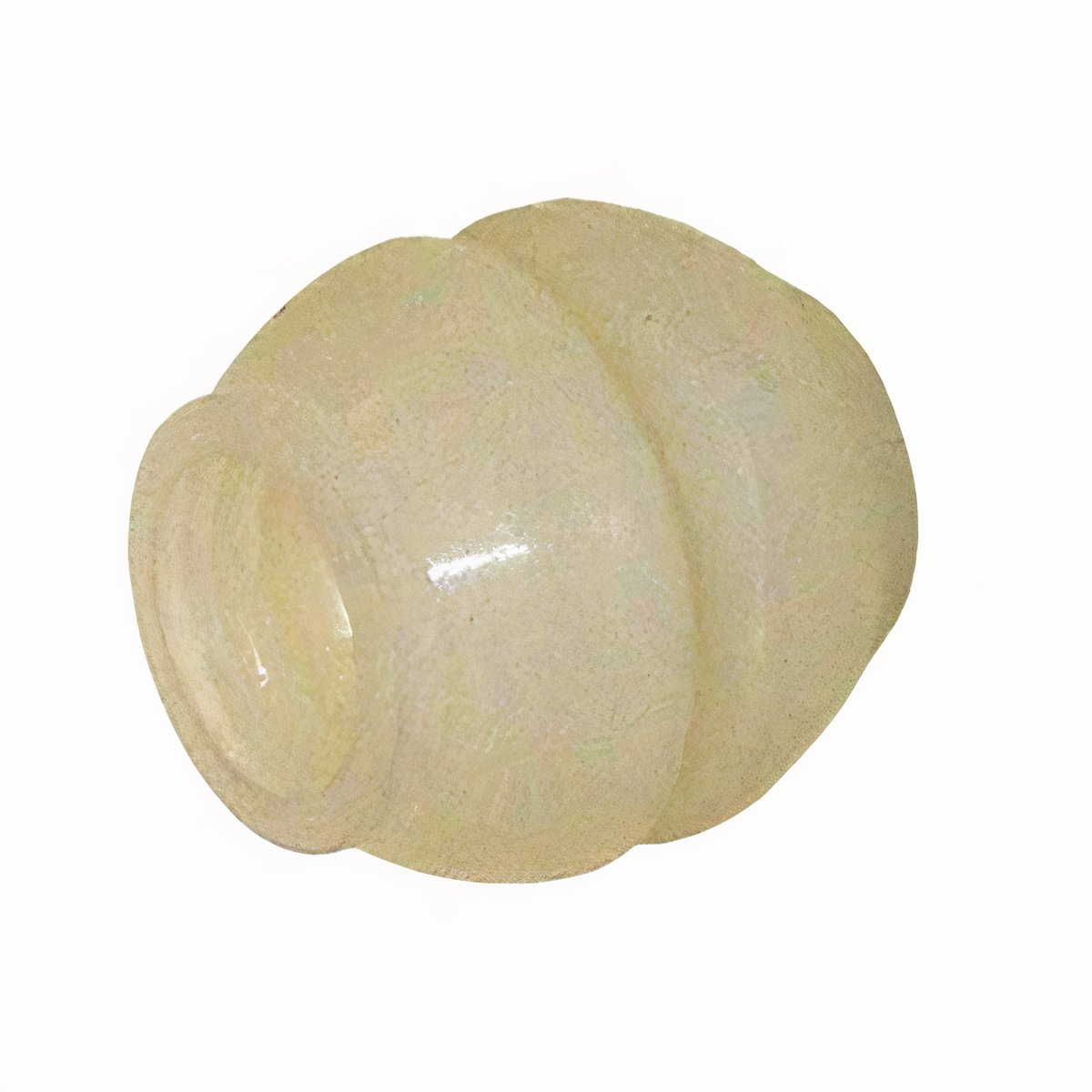 1983-1991 Vanagon Shift Rod Bushing