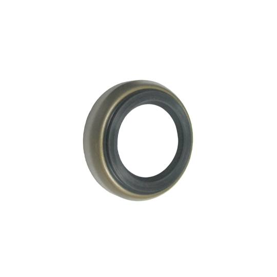 001301083B - VW Autostick Torque Converter Seal with Internal
