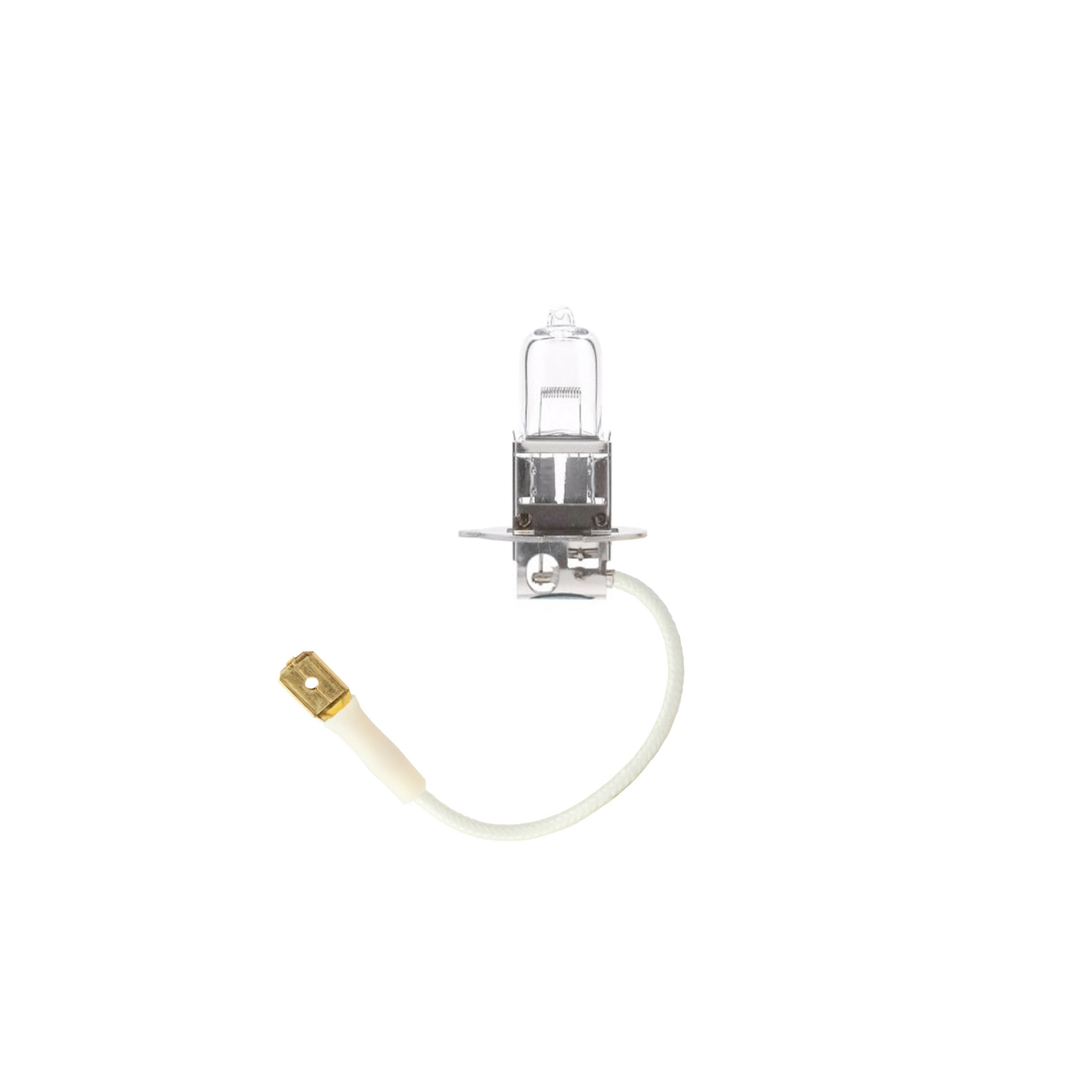 H3 100 Watt Bulb - 12 Volt - Each