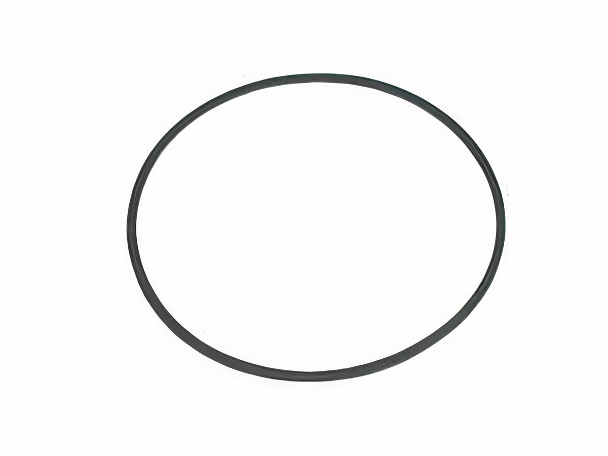 Speedometer Ring To Body Seal