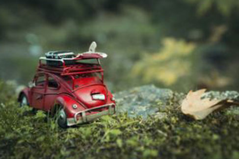 Adventurous Classic VW Beetle 