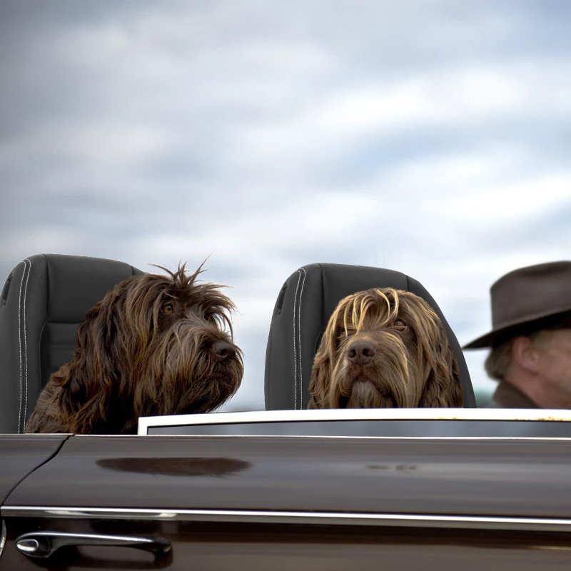 Chep & Rufus cruising in our Mid-sized Dog Sports Seat (PN#AF-002) model.